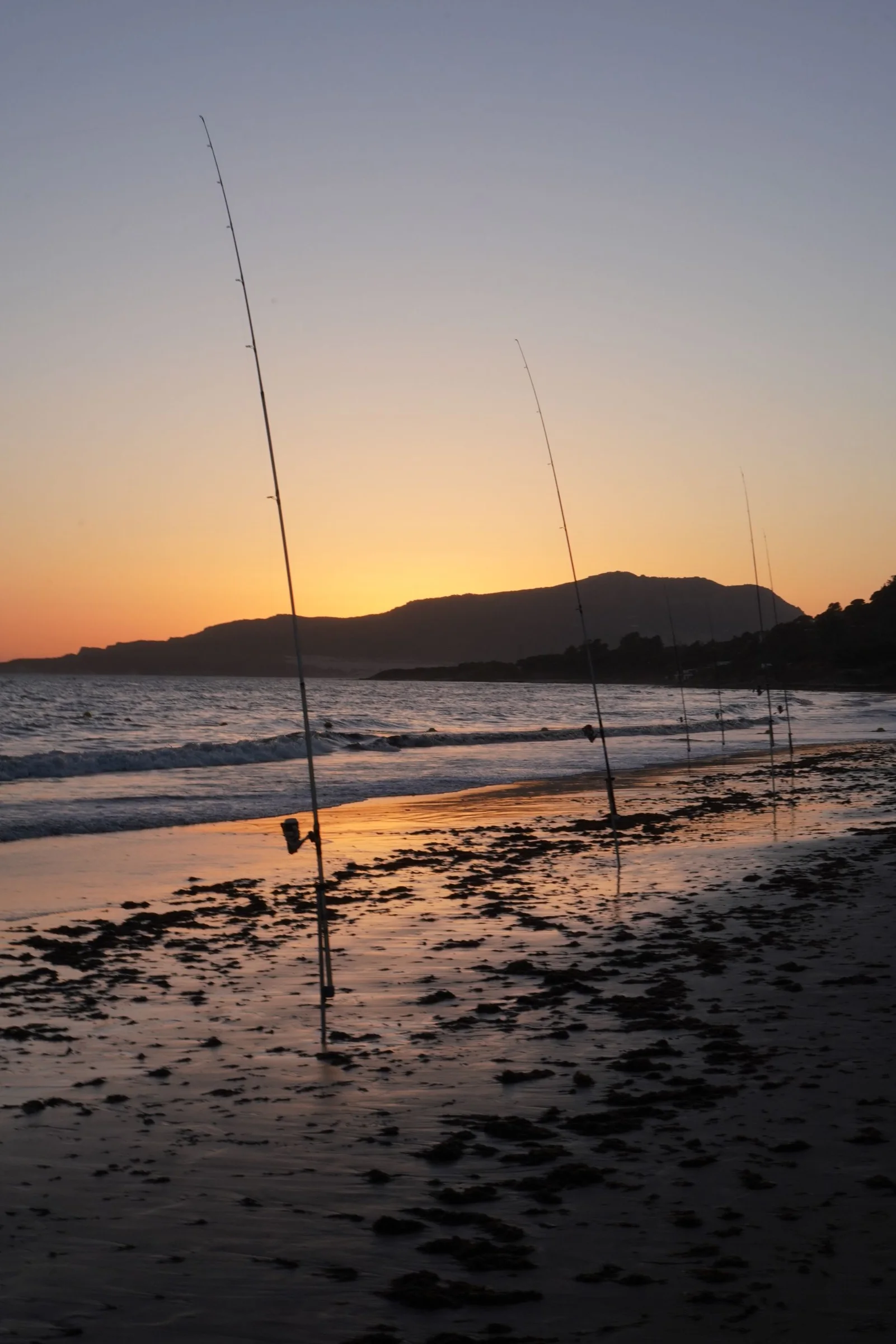 Fishing rods set along the seashore at sunset.