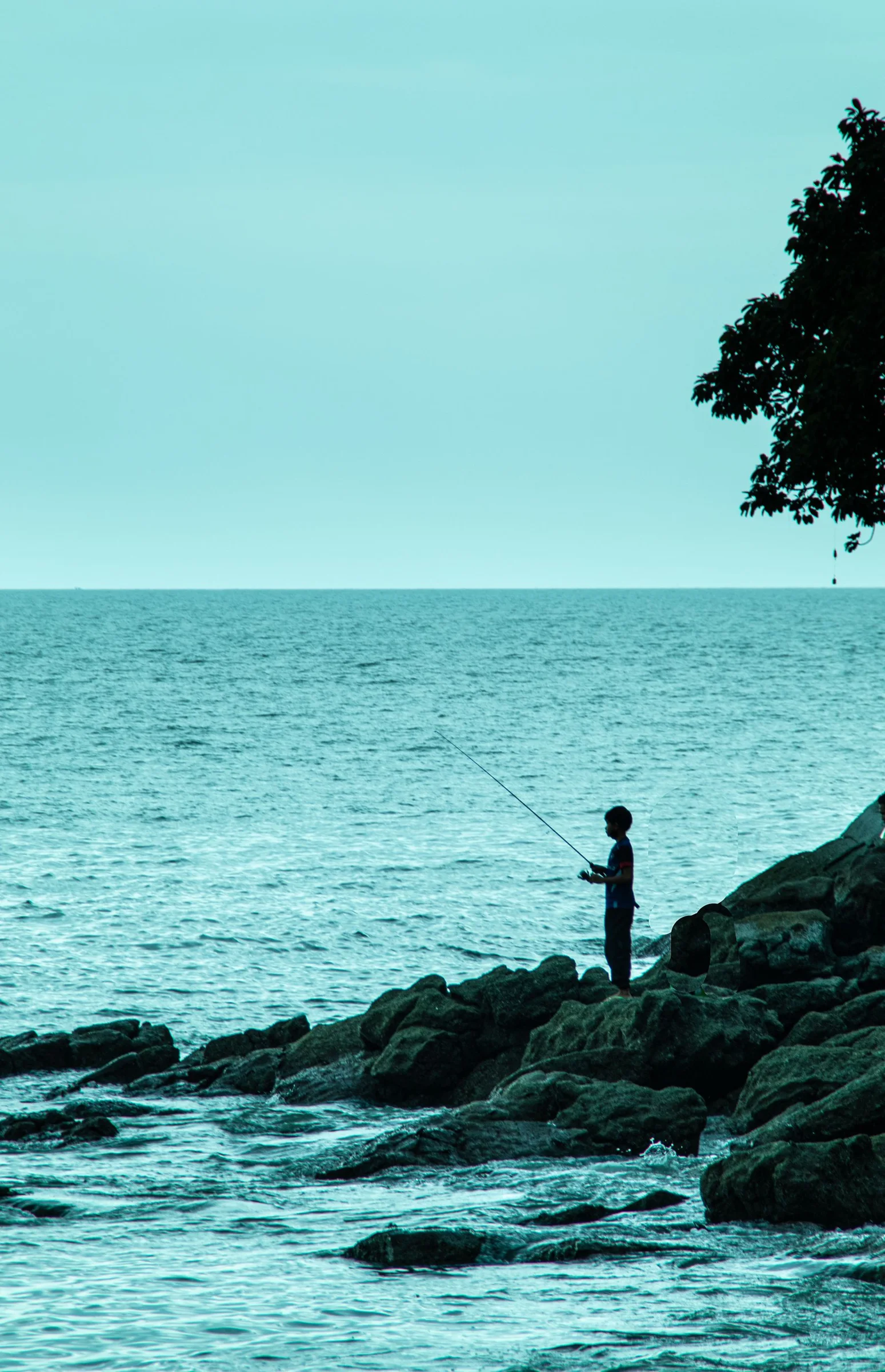 Person fishing from a rocky shoreline beside the sea.